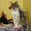 Отзыв от Эльвира Бычкова